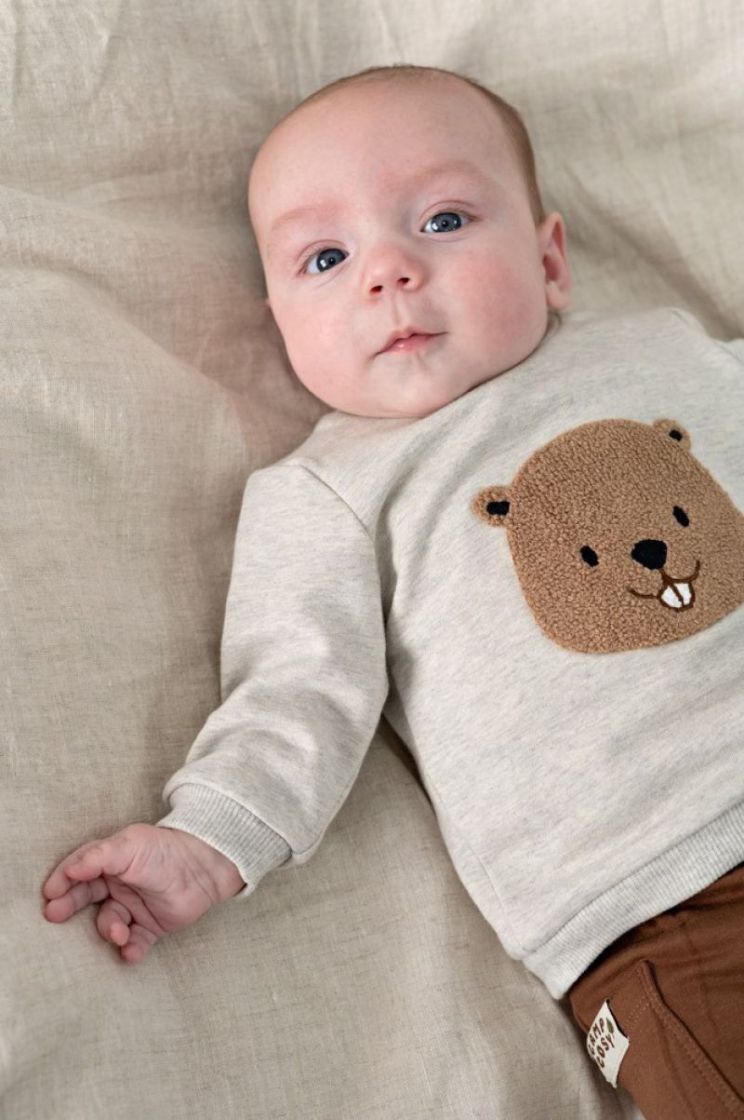 Sweater - Tiny Timber Tales grijs melange