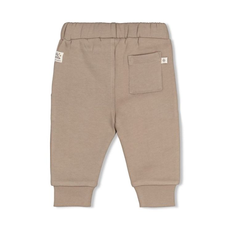 Broek grijs